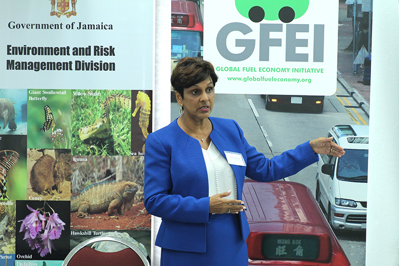 GFEI project manager for Jamaica Dr Ruth Potopsingh