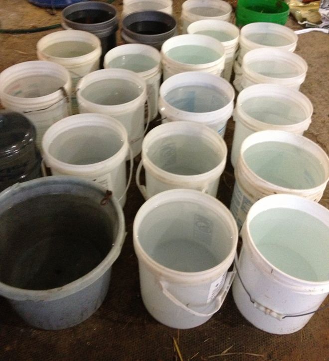 Buckets of water